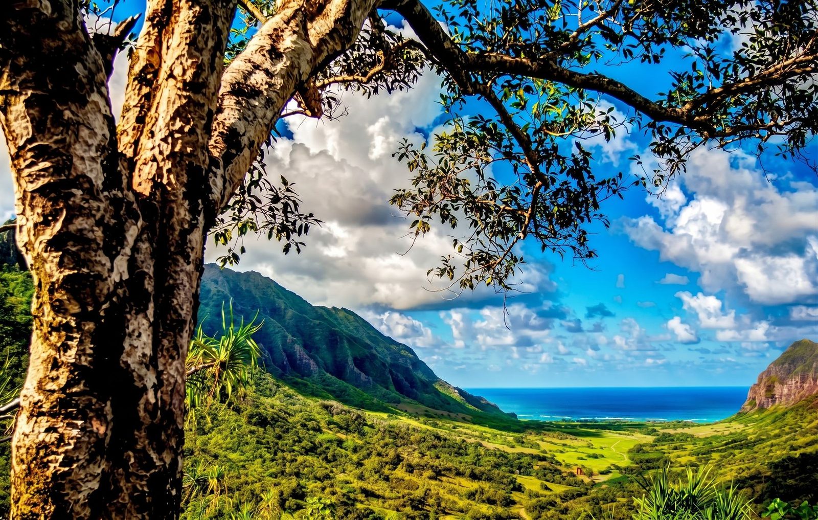 Green valley and mountains at Kaʻaʻawa, Oahu